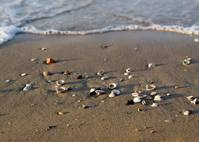 Апартаменти Serenity By The Pool-beahost Бібіоне